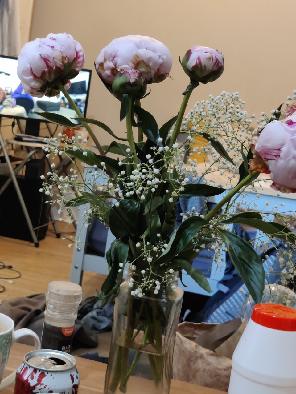 Full plant photo