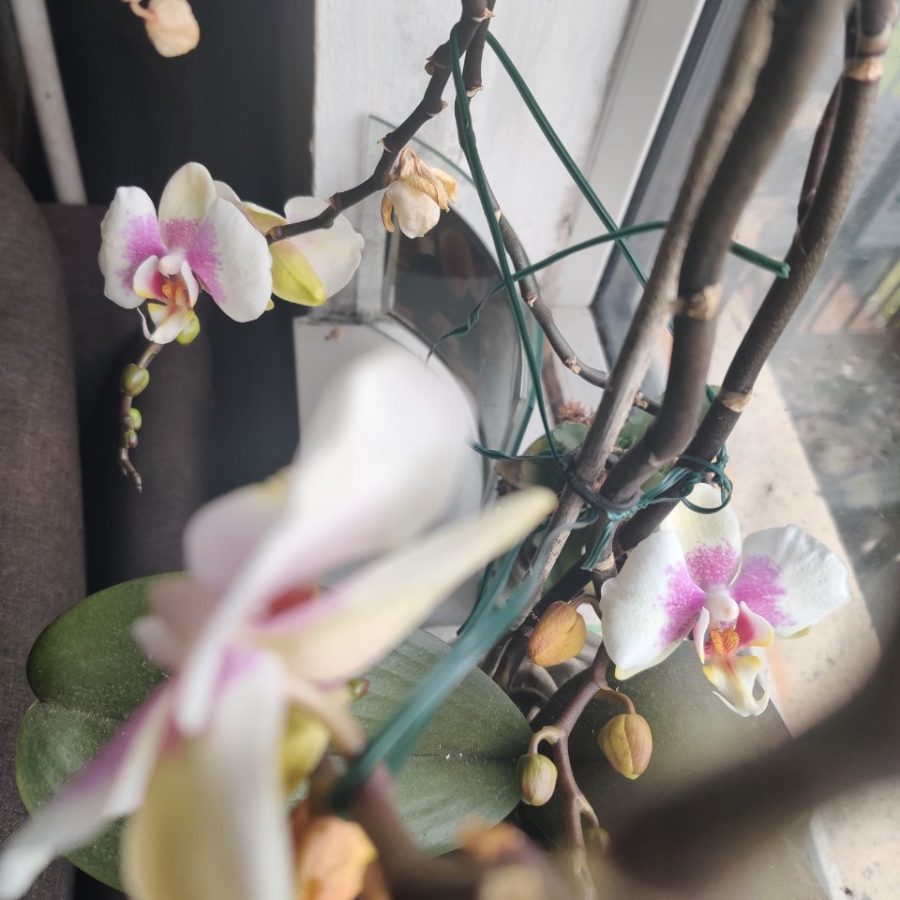 Plant check-in from May 7, 2026